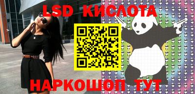 молекула духа Кулебаки